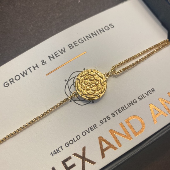 Alex and Ani Jewelry Alex And Ani Pull Chain Bracelet Poshmark